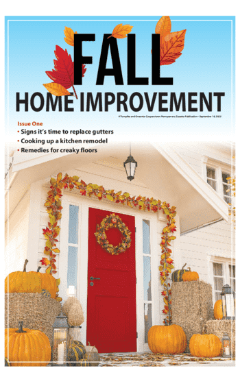 Fall Home Improvement TOG