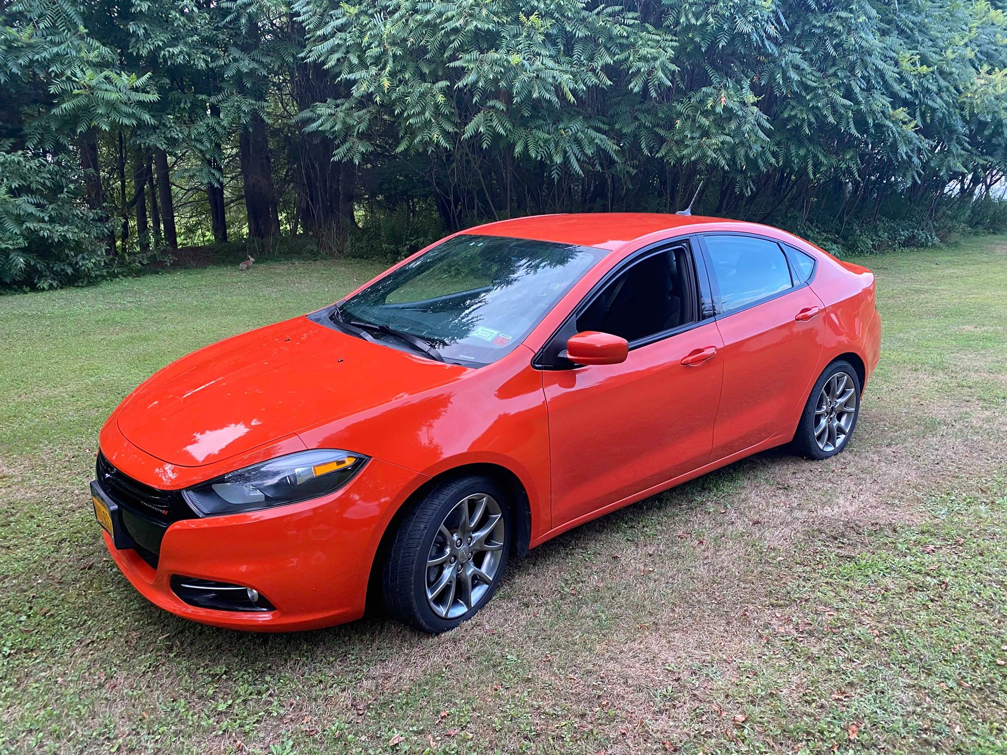 Pennysaver Online NY Pennysaver Classifieds