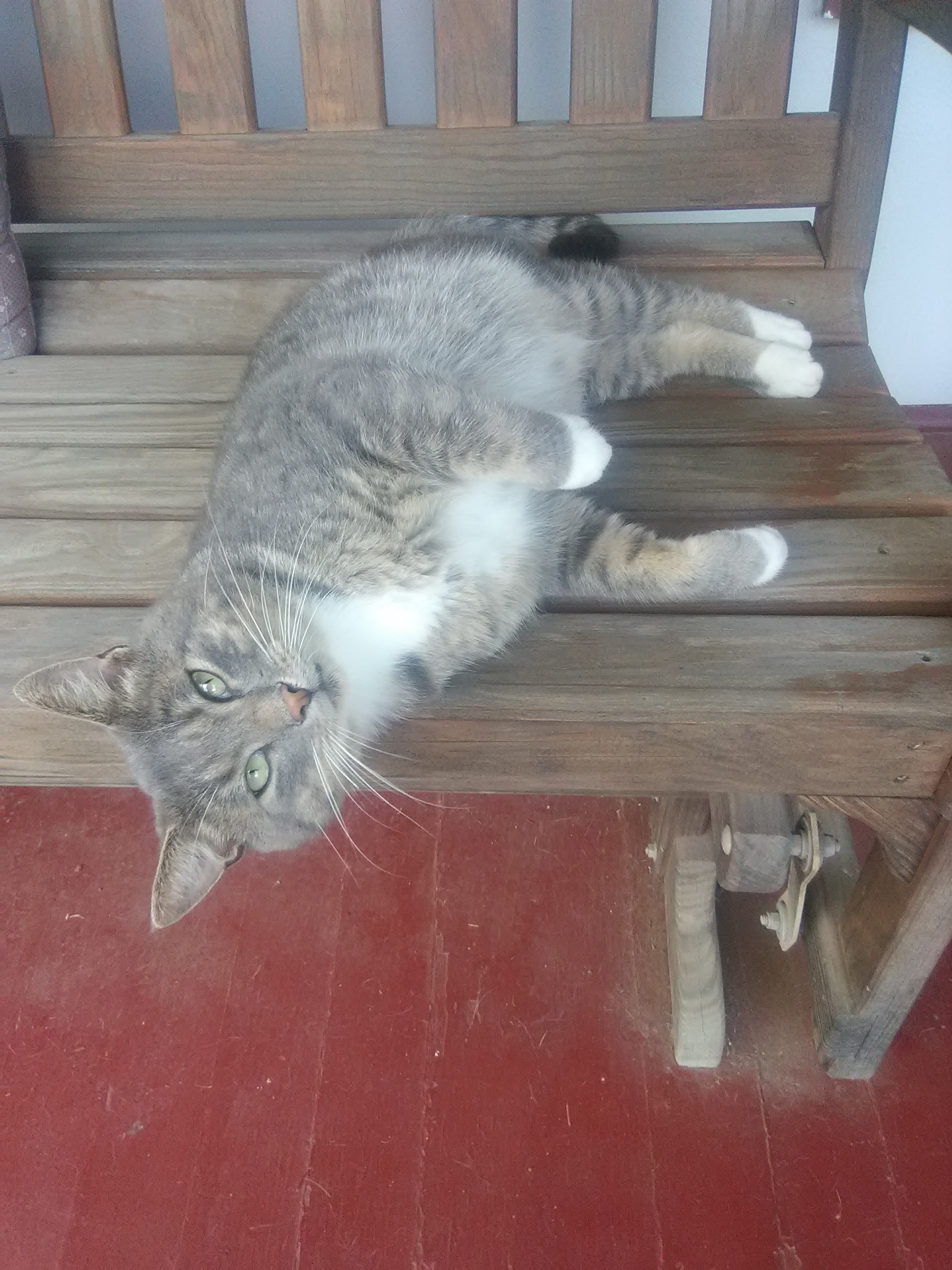 Pennysaver Online NY Pennysaver Classifieds